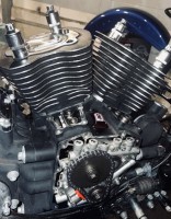 IMG_7899 Medium.jpeg