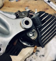 IMG_7987 Medium.jpeg