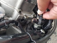 20180616_093343.jpg