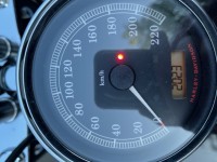 IMG_1659.jpg
