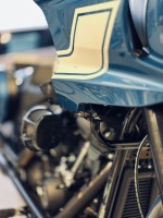IMG_6428.jpeg