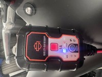 IMG_2198.jpeg